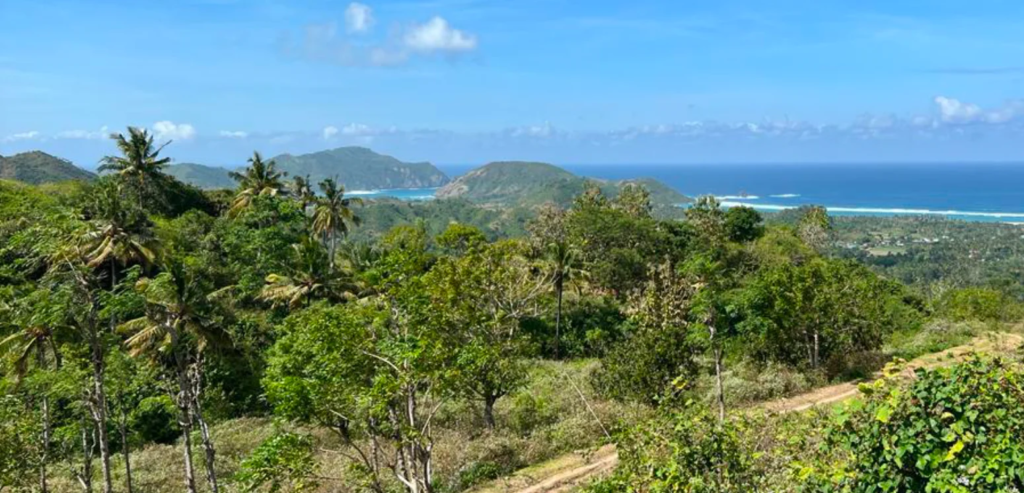 Land for sale in Tampah Lombok